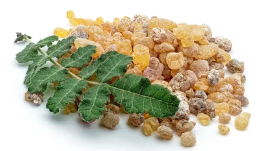 One Powerful Herb for Both Skin Hydration and Joint Relief