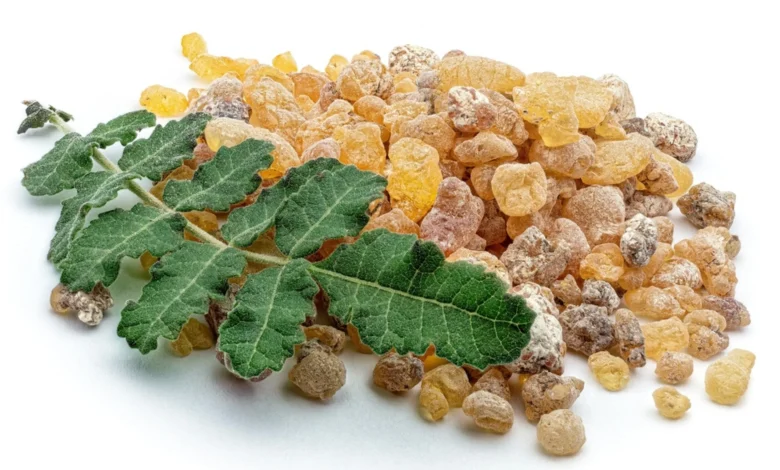 One Powerful Herb for Both Skin Hydration and Joint Relief