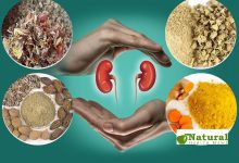 Top 10 Natural Supplements for Kidney Health