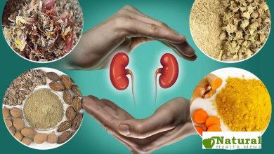 Top 10 Natural Supplements for Kidney Health