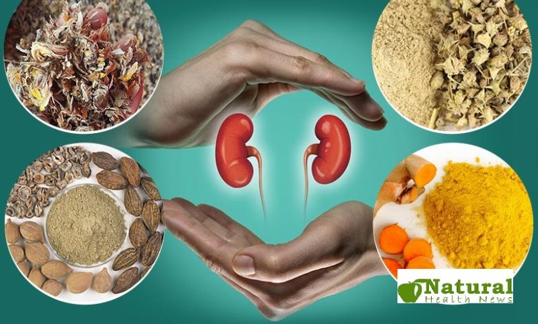 Top 10 Natural Supplements for Kidney Health