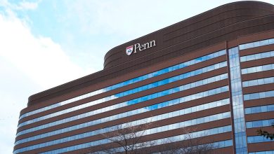 Common Blood Pressure Drug Shown to Halt Brain Cancer Cell Growth, Penn Study Finds