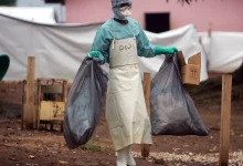 Deadly Marburg Virus Detected in Ethiopia, Sparks Urgent Health Response