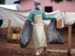 Deadly Marburg Virus Detected in Ethiopia, Sparks Urgent Health Response