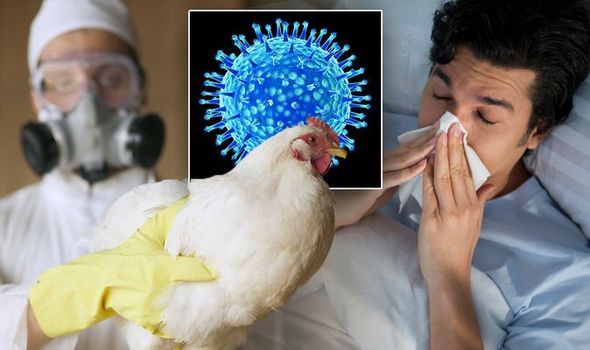 First Human Bird Flu Case in the U.S. in 9 Months Detected in Washington