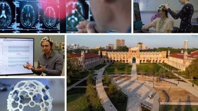 Rice University’s New Brain Institute Aims