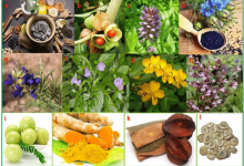 The Fragrant Herb That Could Protect You from Cancer and Heart Disease