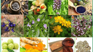 The Fragrant Herb That Could Protect You from Cancer and Heart Disease