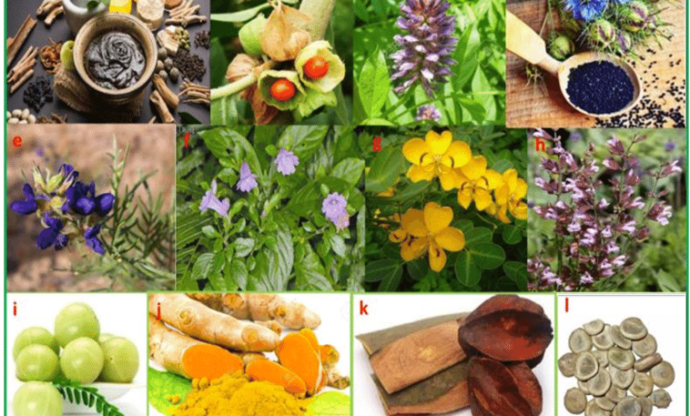 The Fragrant Herb That Could Protect You from Cancer and Heart Disease