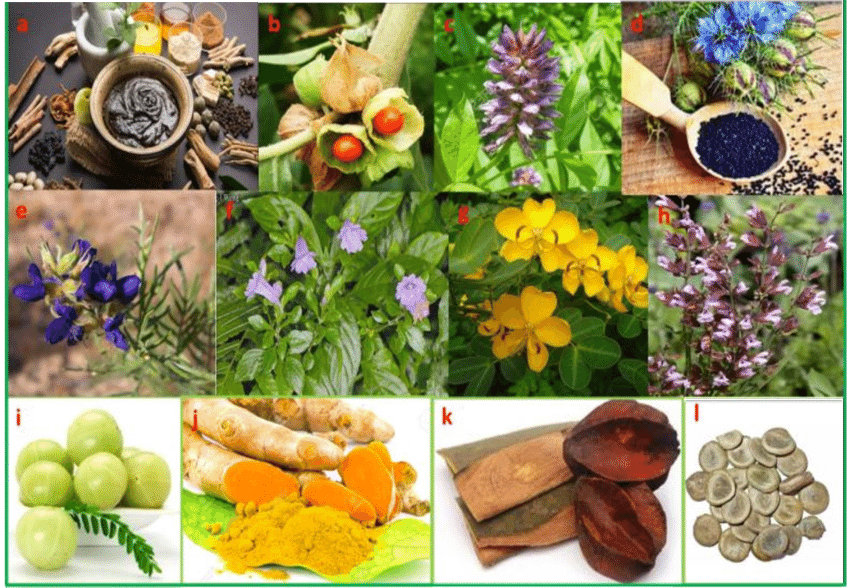 The Fragrant Herb That Could Protect You from Cancer and Heart Disease