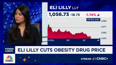 Eli Lilly Slashes Price of Top-Selling Weight-Loss Drug Zepbound