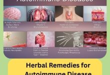 Herbal Remedies for Autoimmune Disease