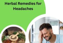 Herbal Remedies for Headaches​