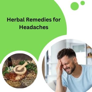 Herbal Remedies for Headaches​
