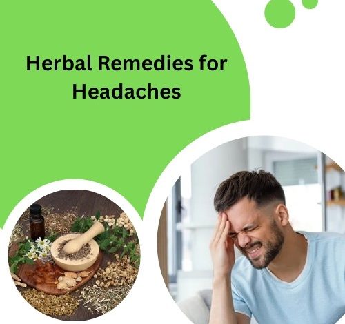 Herbal Remedies for Headaches​