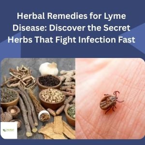 Herbal Remedies for Lyme Disease