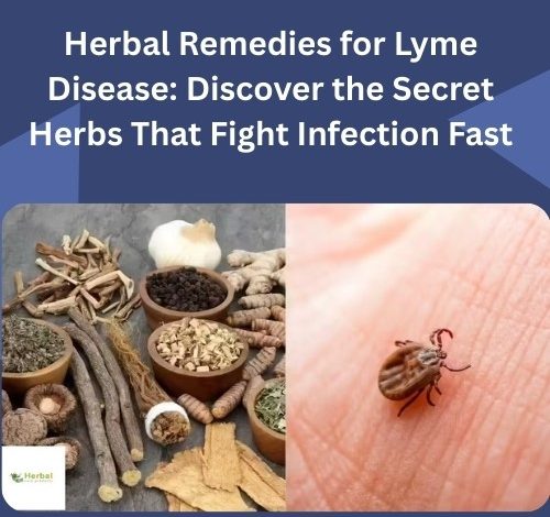 Herbal Remedies for Lyme Disease