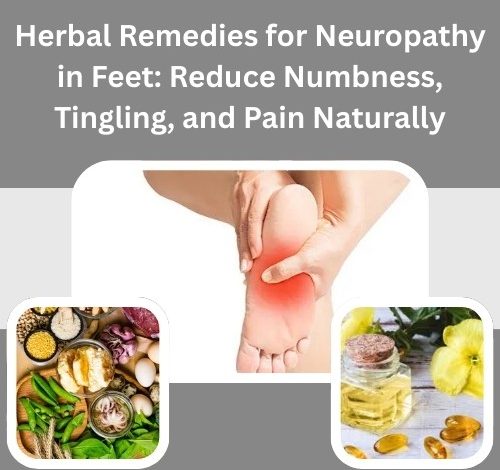 Herbal Remedies for Neuropathy in Feet