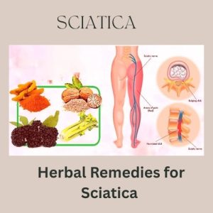 Herbal Remedies for Sciatica