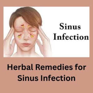 Herbal Remedies for Sinus Infection