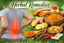 Back Pain Relief Herbal Remedies