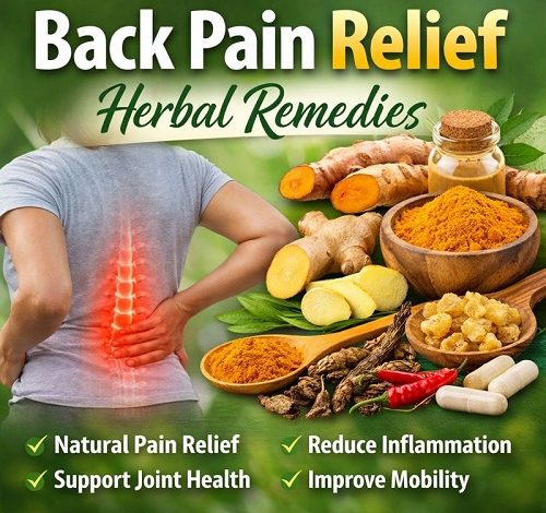 Back Pain Relief Herbal Remedies