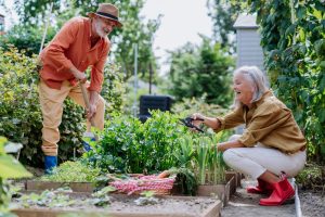 How Garden Therapy Boosts Mental Health and Emotional Well-Being