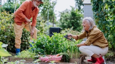 How Garden Therapy Boosts Mental Health and Emotional Well-Being