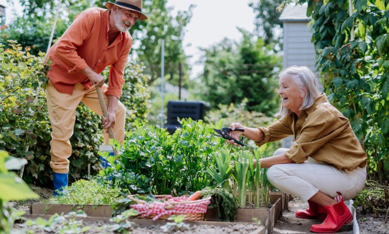 How Garden Therapy Boosts Mental Health and Emotional Well-Being