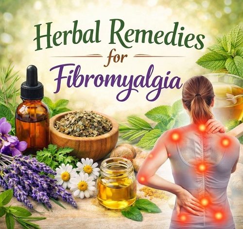Herbal Remedies for Fibromyalgia
