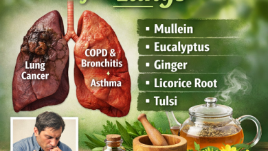 Herbal Remedies for Lungs