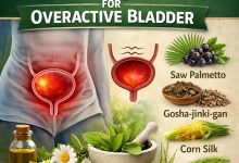 Herbal Remedies for Overactive Bladder