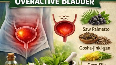 Herbal Remedies for Overactive Bladder