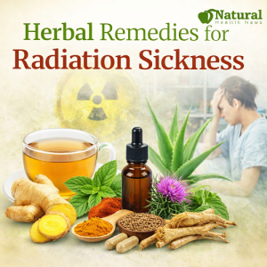 Herbal Remedies for Radiation Sickness