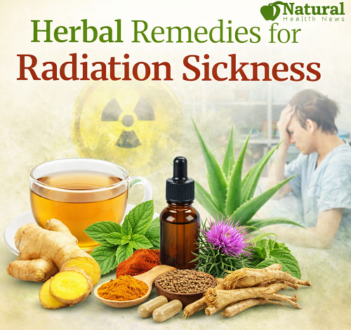 Herbal Remedies for Radiation Sickness
