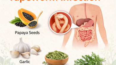 Herbal Remedies for Tapeworm Infection
