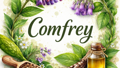 Comfrey