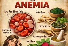 Herbal Remedies for Anemia