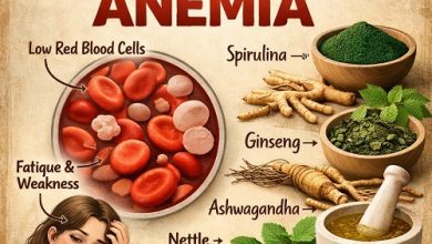 Herbal Remedies for Anemia
