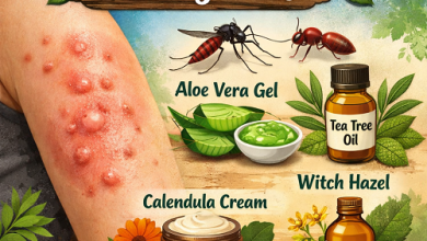 Herbal Remedies for Bug Bites