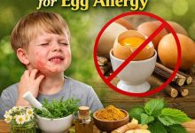 Herbal Remedies for Egg Allergy