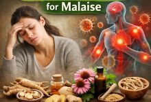 Herbal Remedies for Malaise