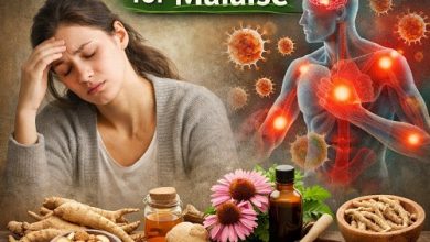 Herbal Remedies for Malaise