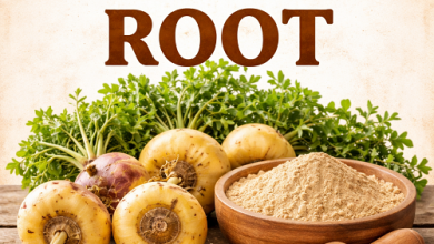 Maca Root