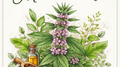 Motherwort