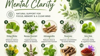 10 Effective Herbal Remedies for Mental Clarity