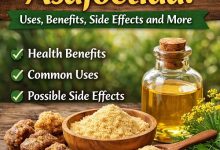Asafoetida Uses, Benefits, Side Effects and More