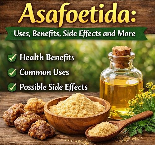 Asafoetida Uses, Benefits, Side Effects and More