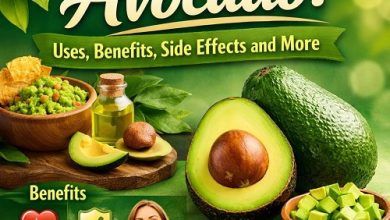 Avocado Uses, Benefits, Side Effects and More