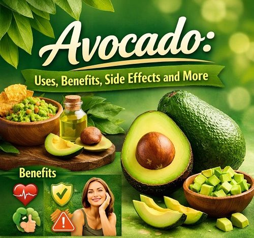 Avocado Uses, Benefits, Side Effects and More